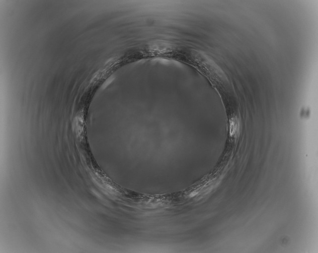 X0000093461011200710261016