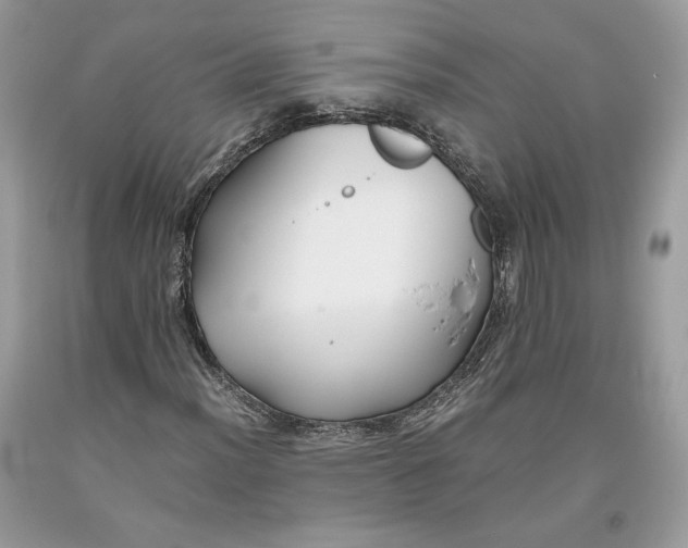 X0000093461012200710261016