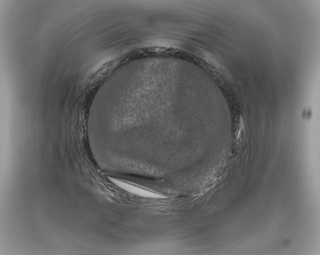 X0000093461014200710261016