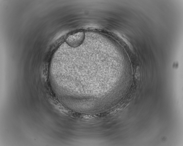 X0000093461015200710261016