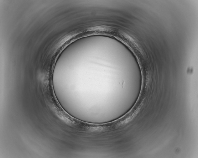 X0000093461017200710261016