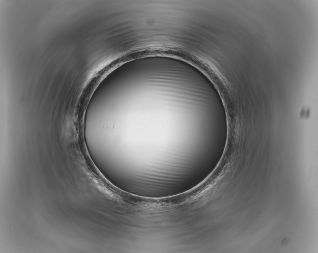 X0000093461018200710261016