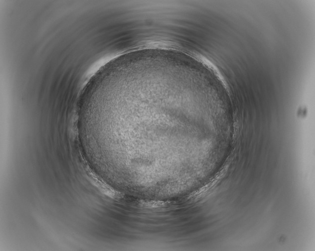 X0000093461019200710261016