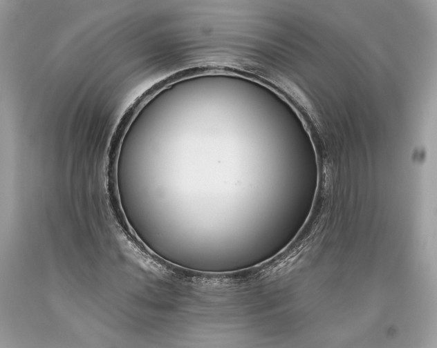 X0000093461020200710261016