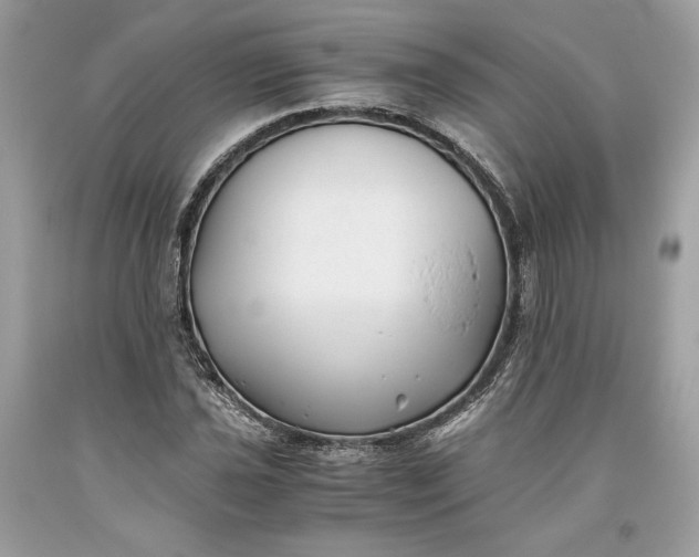 X0000093461021200710261016