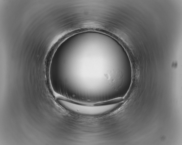 X0000093461022200710261016