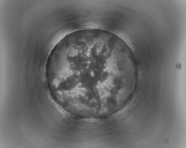 X0000093461023200710261016