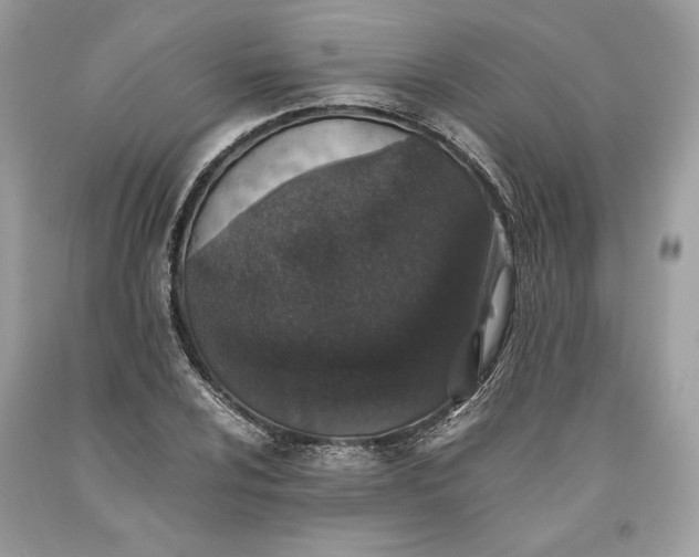 X0000093461024200710261016