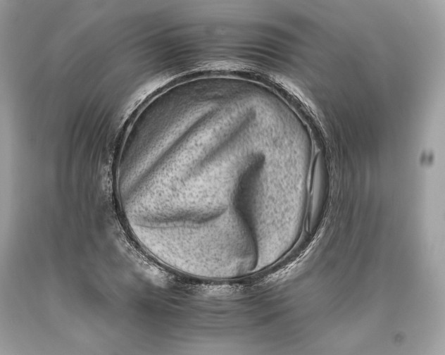 X0000093461025200710261016