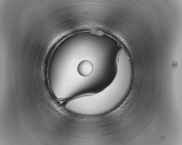 X0000093461026200710261016