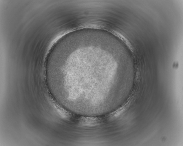 X0000093461027200710261016