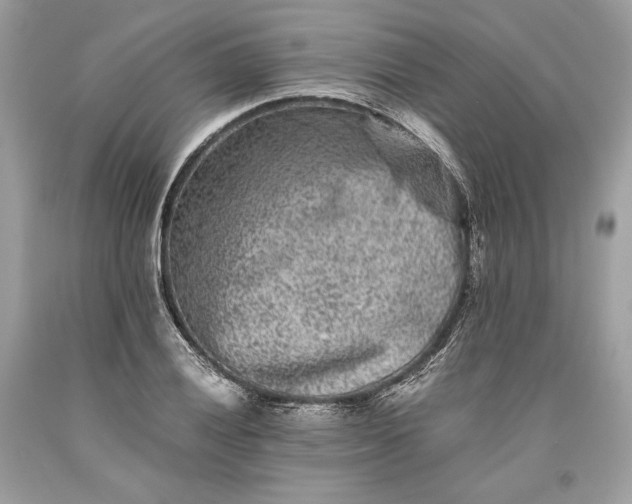 X0000093461028200710261016