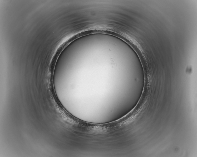 X0000093461029200710261016