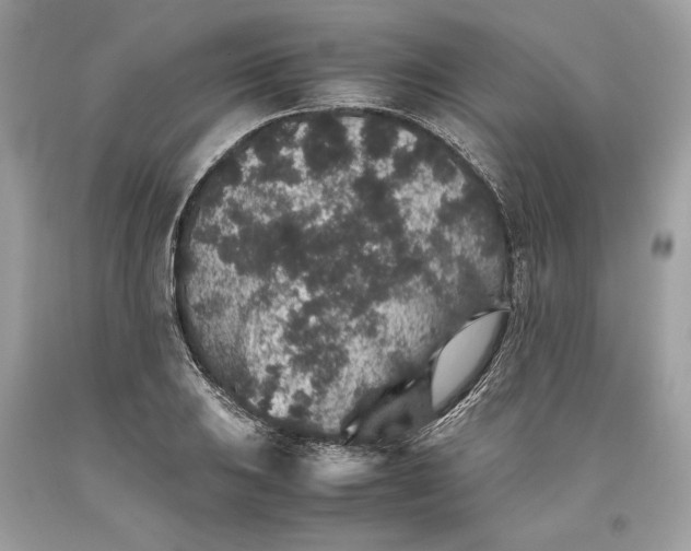 X0000093461031200710261016