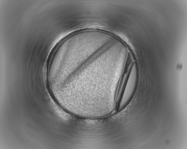 X0000093461032200710261016