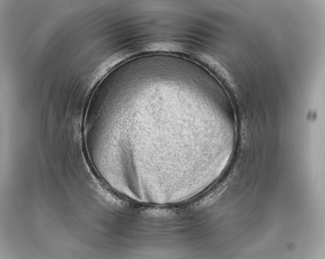 X0000093461033200710261016