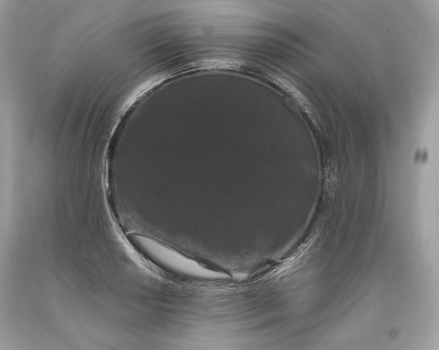 X0000093461034200710261016