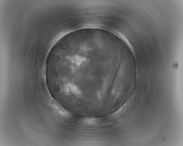 X0000093461035200710261016