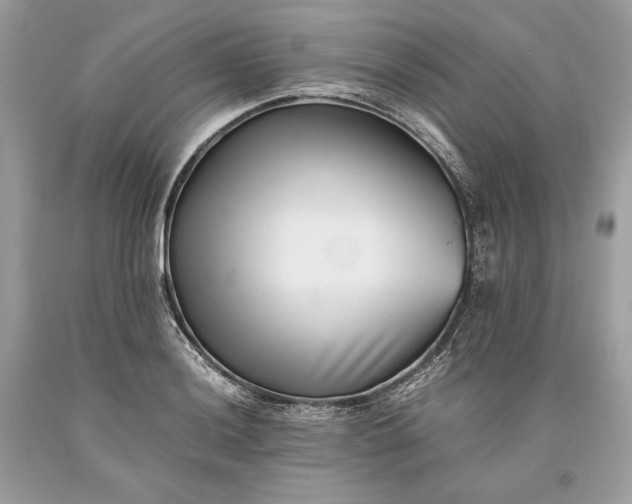 X0000093461036200710261016