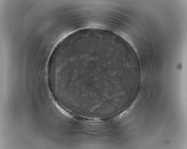 X0000093461037200710261016