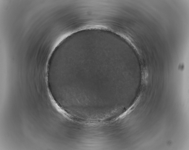 X0000093461038200710261016