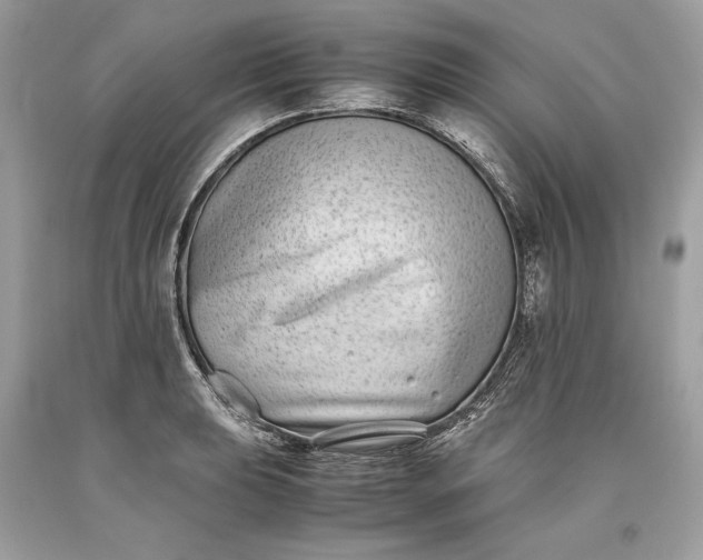 X0000093461039200710261016