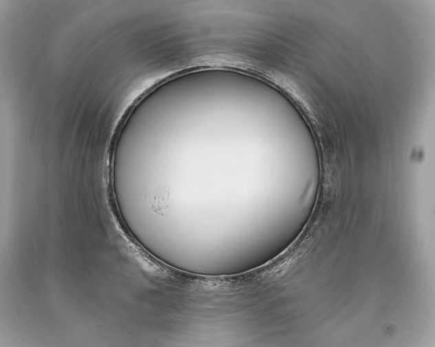 X0000093461040200710261016