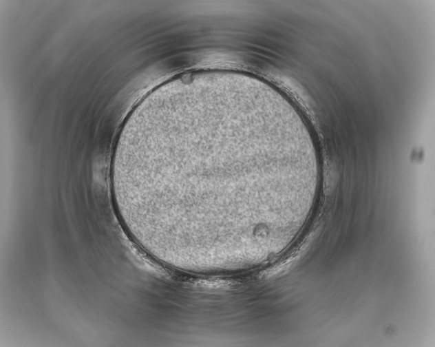 X0000093461041200710261016