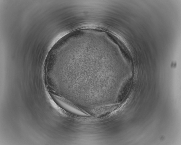 X0000093461042200710261016