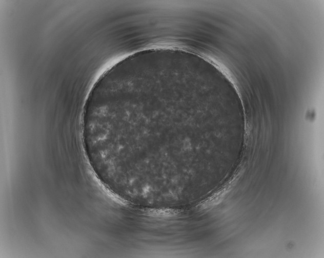 X0000093461045200710261016