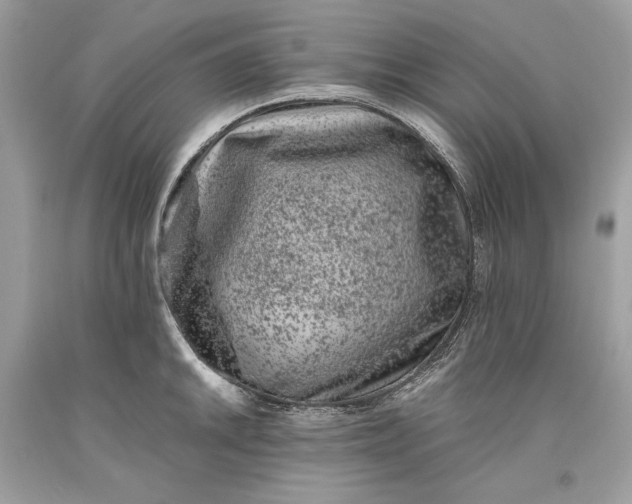 X0000093461046200710261016