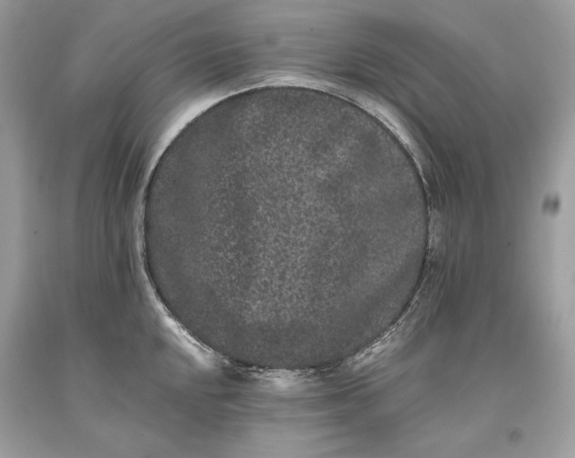 X0000093461048200710261016