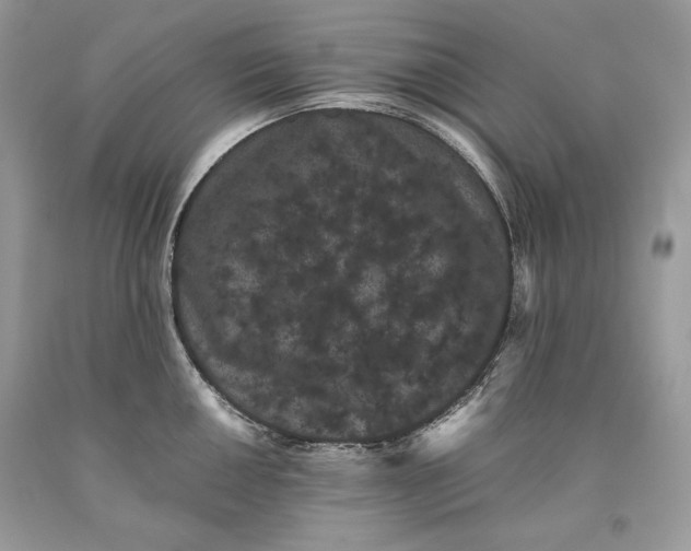 X0000093461050200710261016