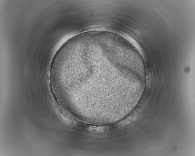 X0000093461051200710261016