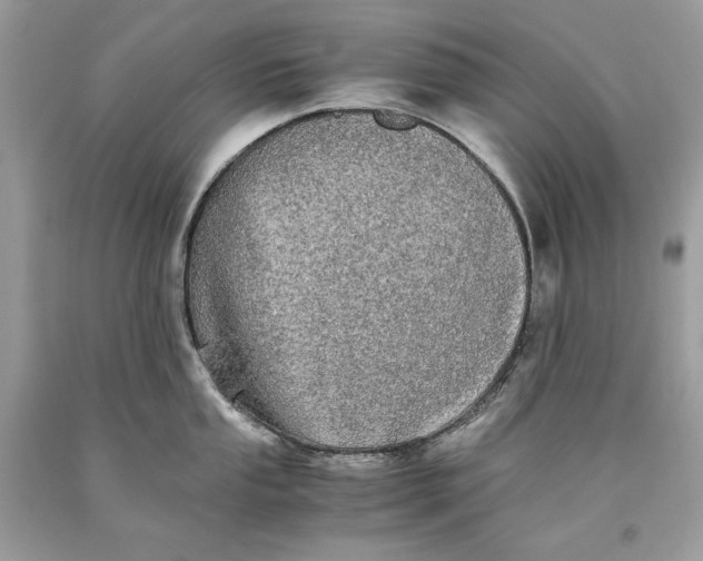 X0000093461053200710261016