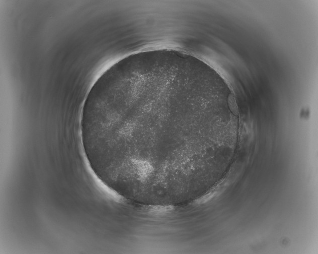 X0000093461055200710261016