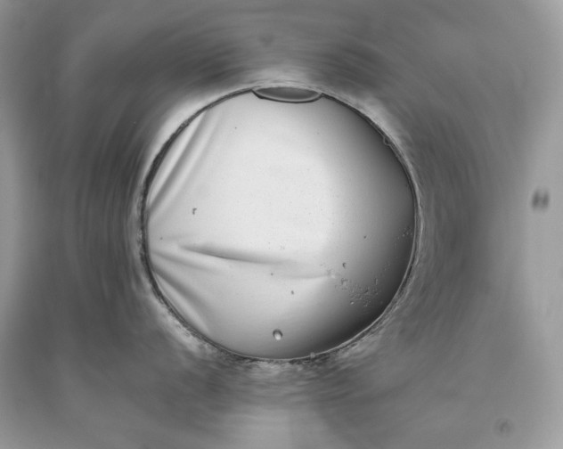 X0000093461056200710261016