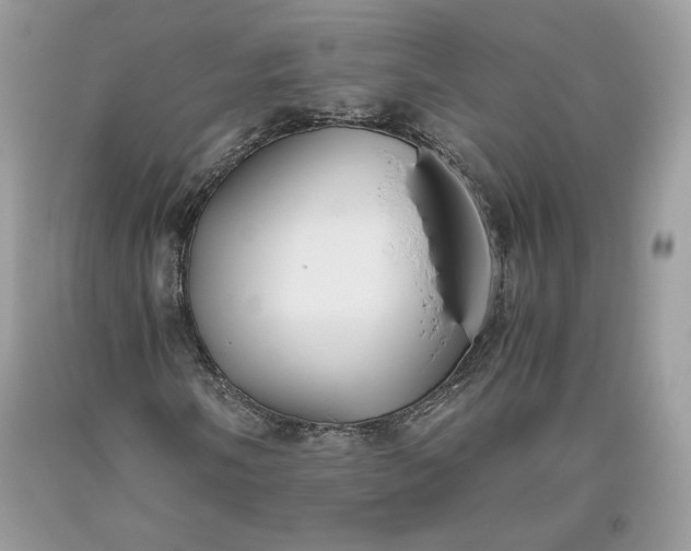 X0000093461058200710261016