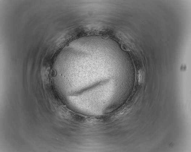 X0000093461059200710261016