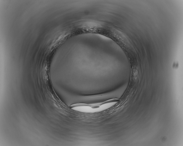 X0000093461060200710261016