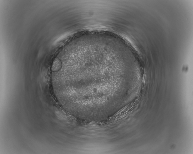 X0000093461063200710261016