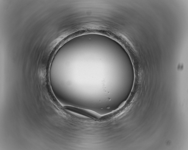 X0000093461065200710261016