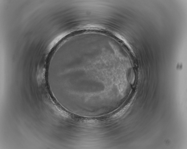 X0000093461066200710261016