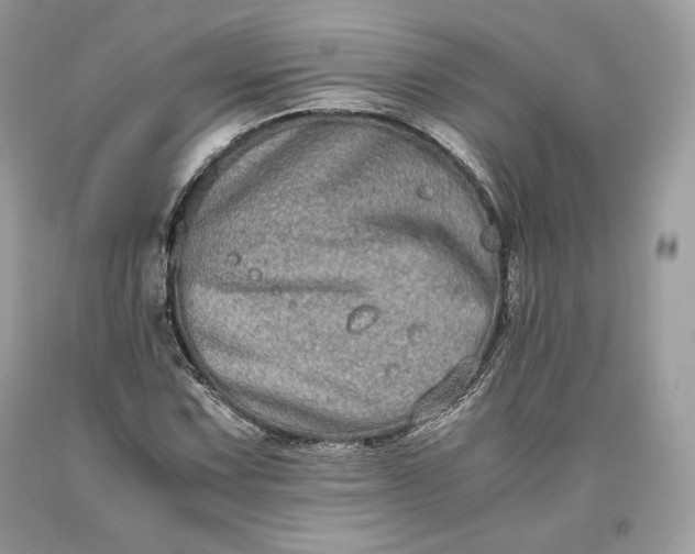 X0000093461067200710261016