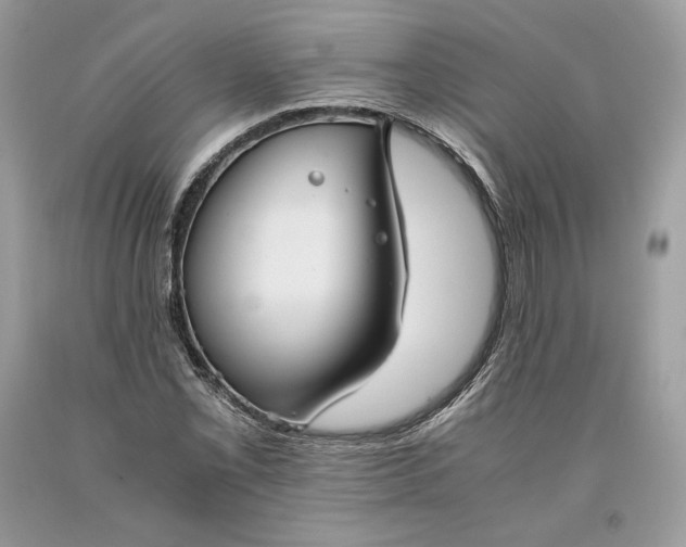 X0000093461069200710261015