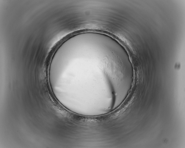 X0000093461070200710261015