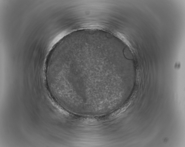 X0000093461071200710261015