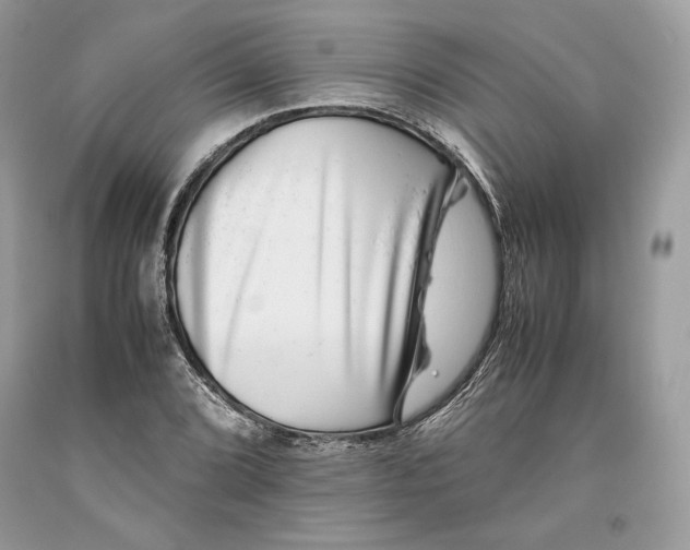 X0000093461072200710261015