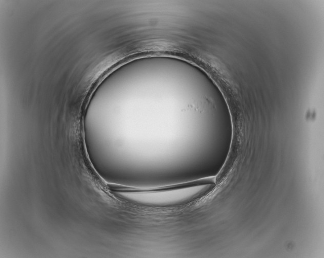 X0000093461073200710261015