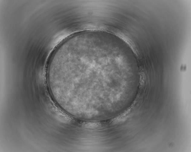 X0000093461074200710261015